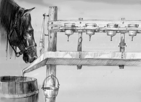 Horse at the Trough: a horse’s head beside a wooden trough with taps, a barrel and a bucket