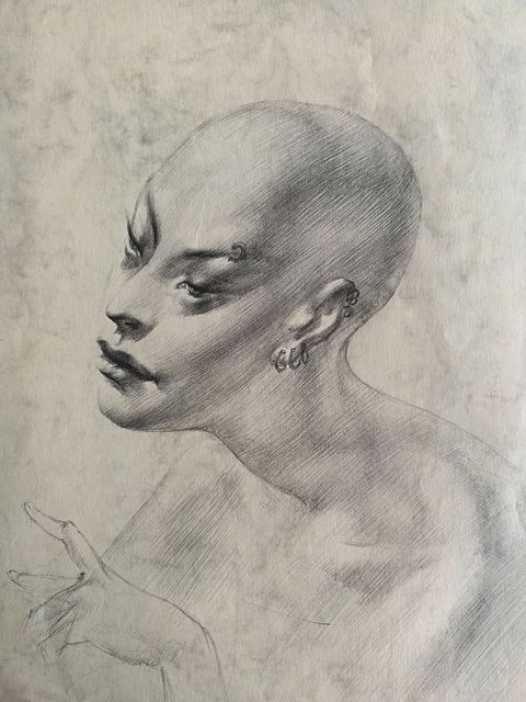 Head with Earrings: a shaved head with rings in the brow and ear, a hand sketched below