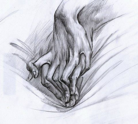 Hand on the Sheet: a hand gripping the folds of a sheet